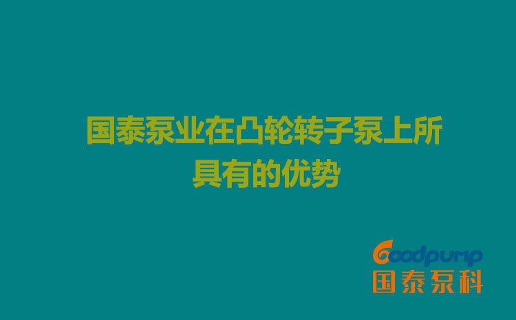 91视频官网下载泵業在凸輪91视频污污污上所具有的優勢